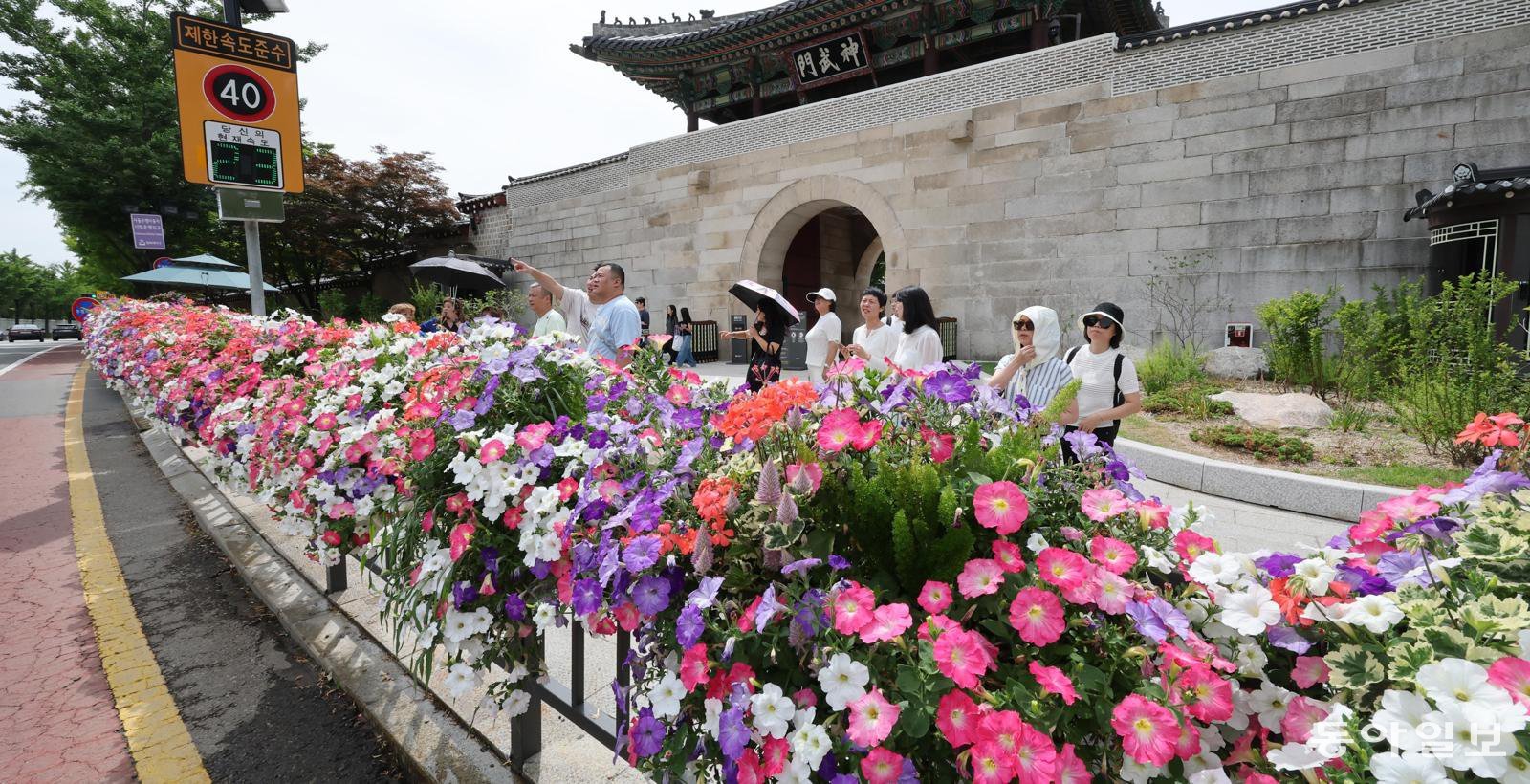 삼청로~청와대로 4.3km 구간에 꽃길
