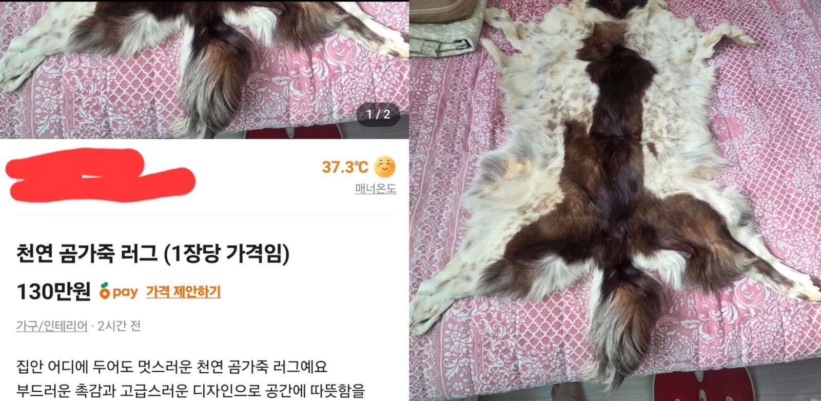 수상한 ‘130만원 곰 가죽’의 정체…“아무리 봐도 개 가죽” 의혹 확산