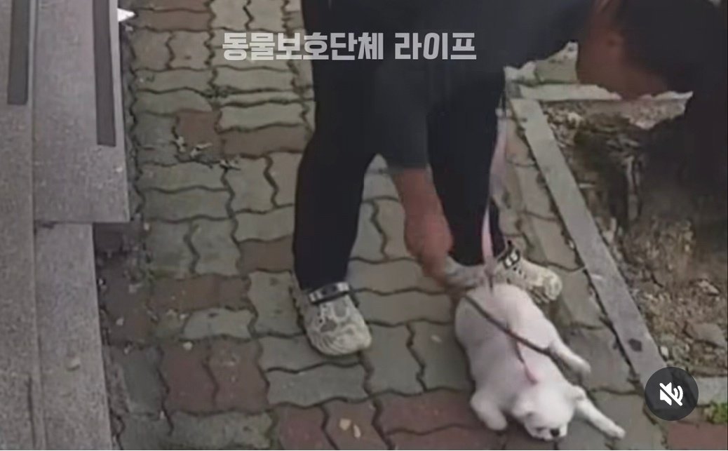 “질질 끌고 나뭇가지로 찰싹”…광주서 반려견 학대 수사