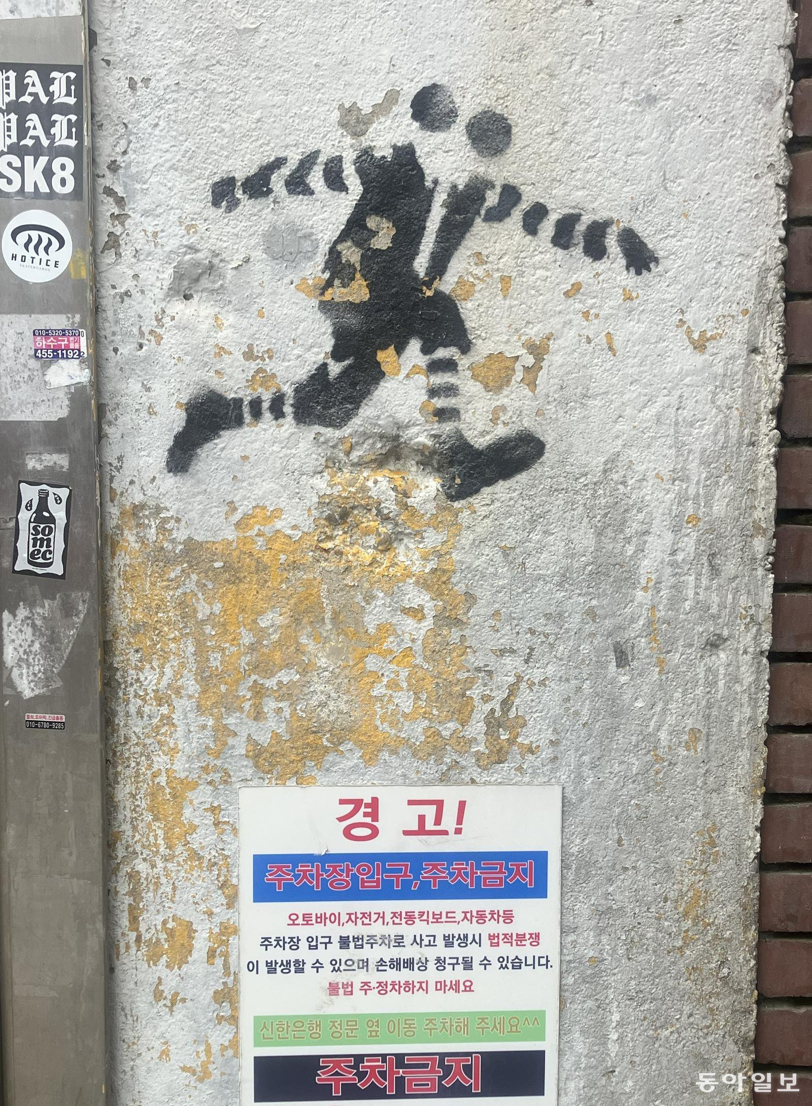 [고양이 눈]“들켰다!”