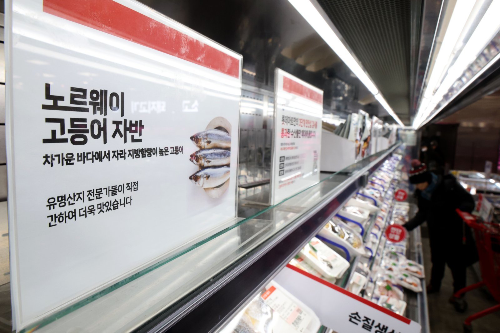 서울 중구의 대형마트를 찾은 시민이 매대에 진열된 국내산과 노르웨이산 고등어를 살펴보고 있다. 뉴스1