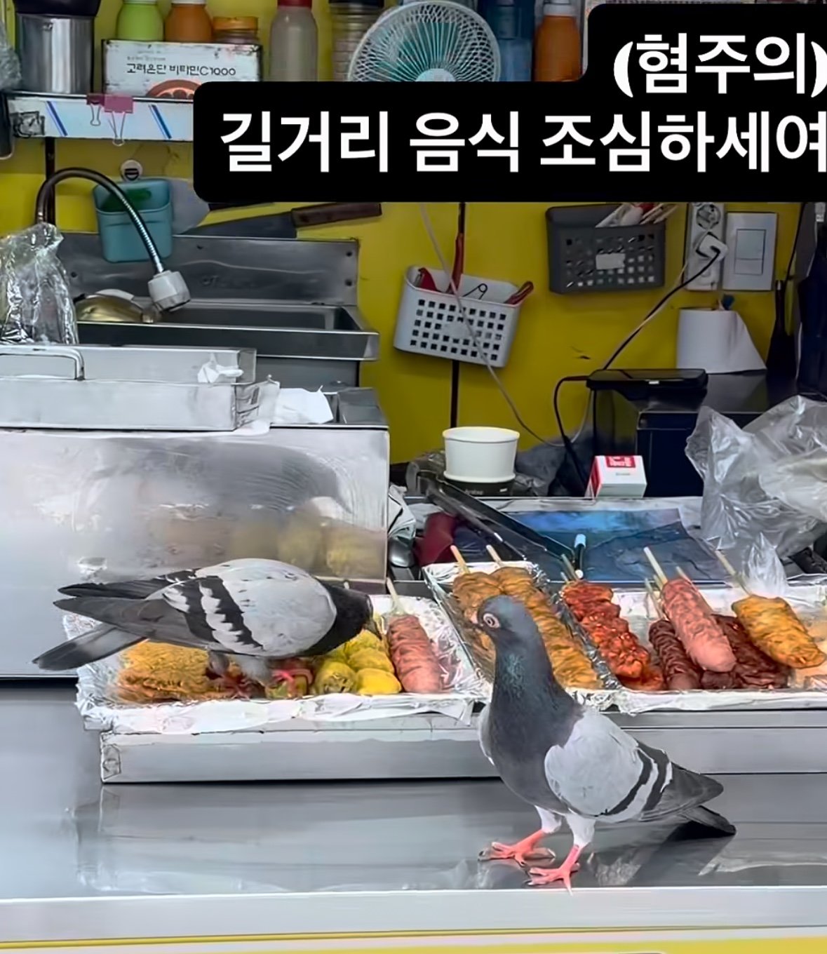 음식 밟고 소시지 쪼아 먹는 비둘기…길거리 음식 위생은
