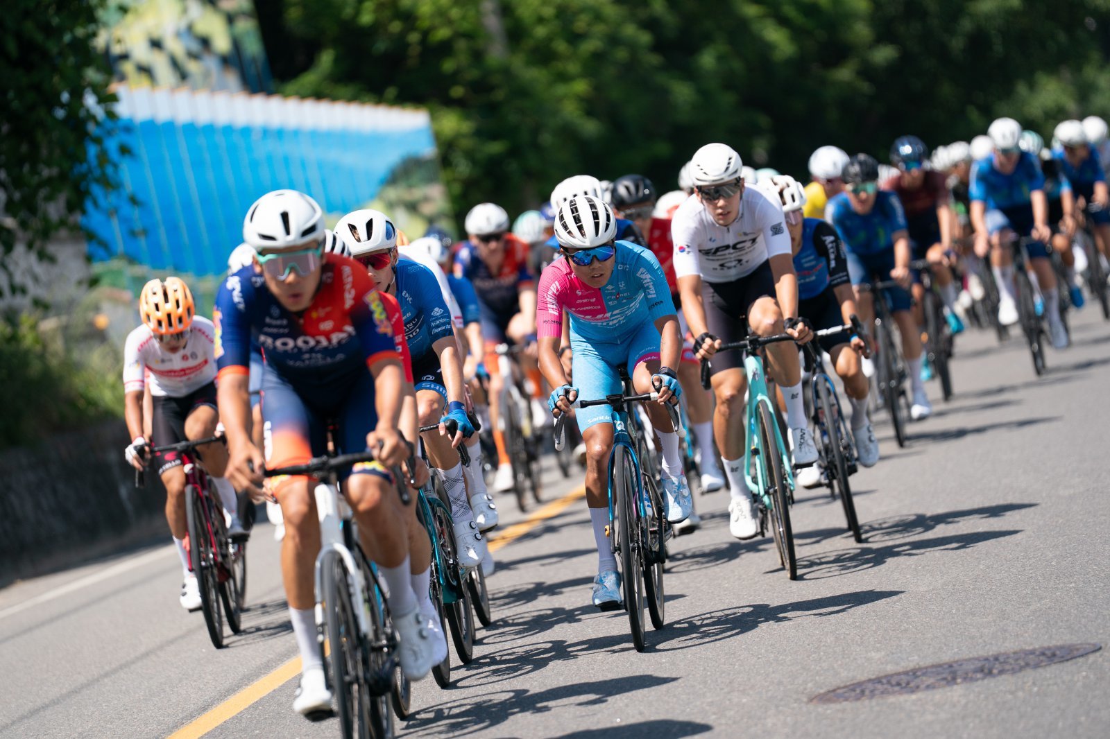 남해안 절경 달리는 ‘투르 드 경남 2026’ 내일 출발 총성…닷새간 510km 은륜 물결