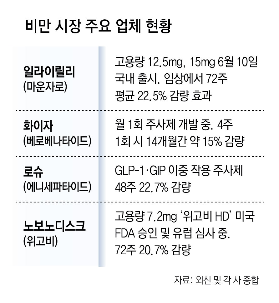 더 강한 비만치료제 온다… 위고비-마운자로 고용량 출시 경쟁
