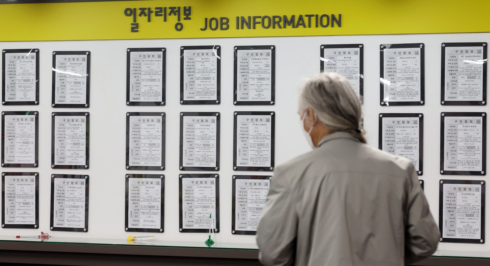 서울 마포구 서울서부고용복지플러스센터를 찾은 고령층 구직자가 일자리정보를 살펴보고 있다. 2024.10.22 ⓒ 뉴스1