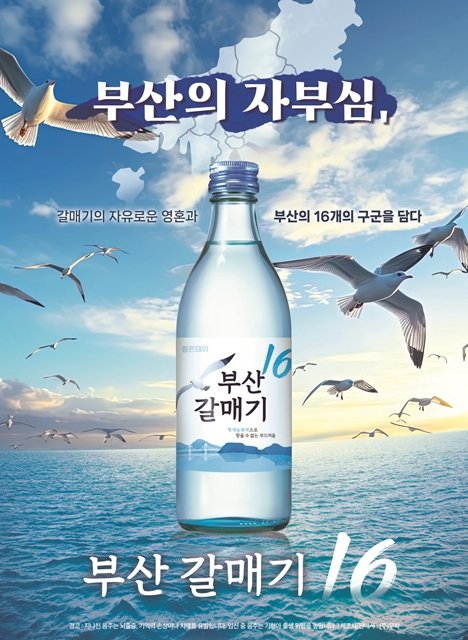 2024년 시장에 나온 좋은데이 ‘부산갈매기16’. 사진 출처 무학 홈페이지