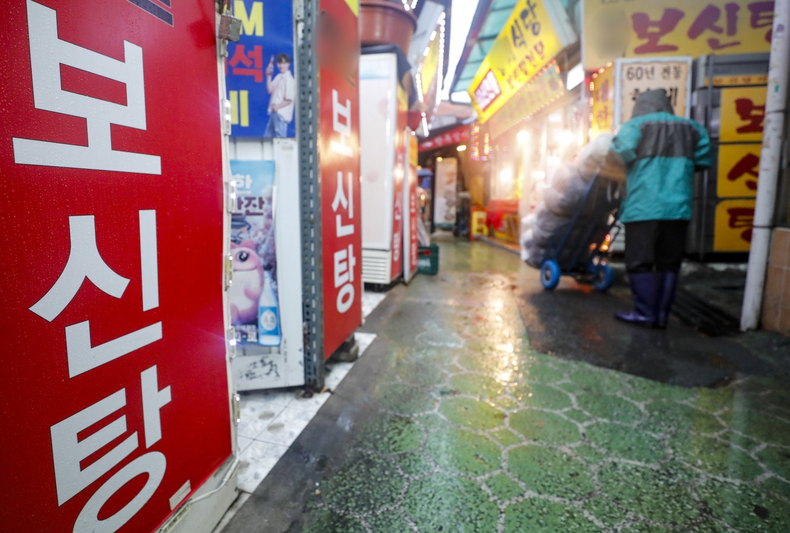 내년부터 개고기 판매·식용 금지…청주 사육 농가 80% 자진 폐업