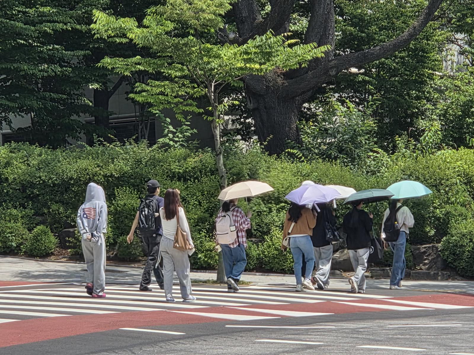 “햇볕 따갑네”…대학 캠퍼스도 양산 행렬, 에어컨 찾아 도서관 피서