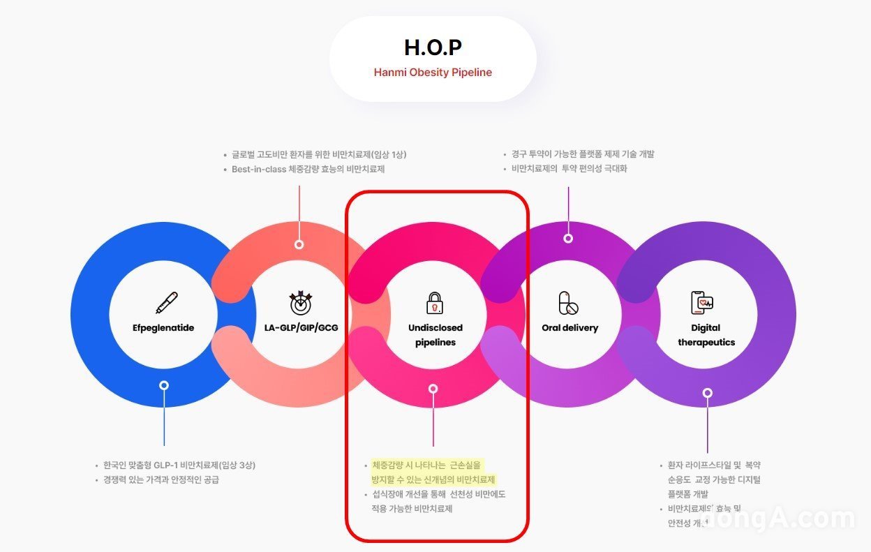 한미약품 맞춤 비만 치료 전략 H.O.P(Hanmi Obesity Pipeline) 프로젝트 개요. 한미약품 제공