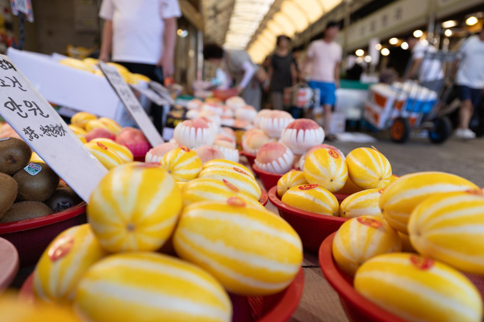 Korean Melons Thrive in Japan as 'Chame,' Driving Export Boom
