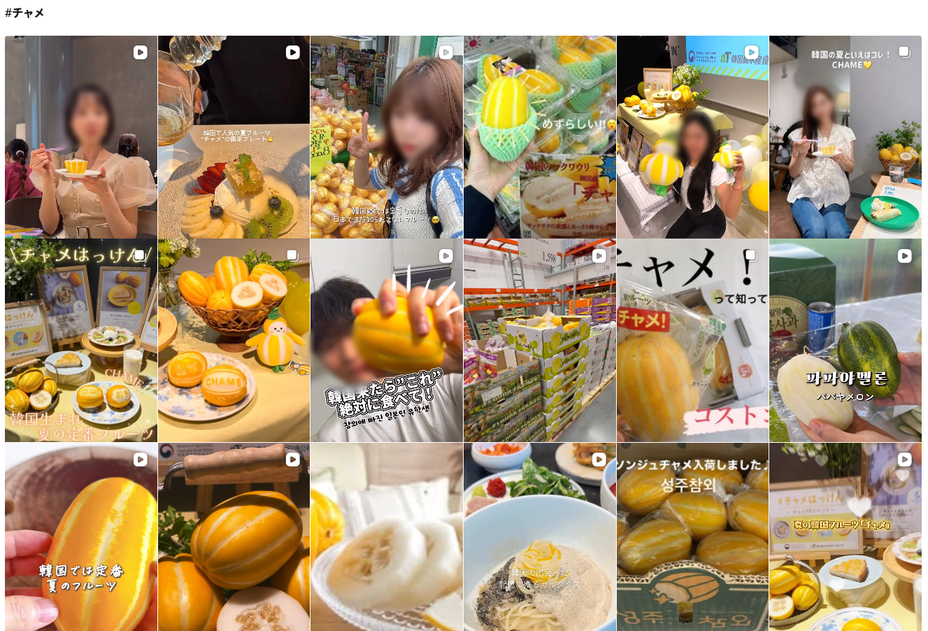 인스타그램에 ‘#チャメ(챠메·참외의 일본 발음)’을 검색한 결과.