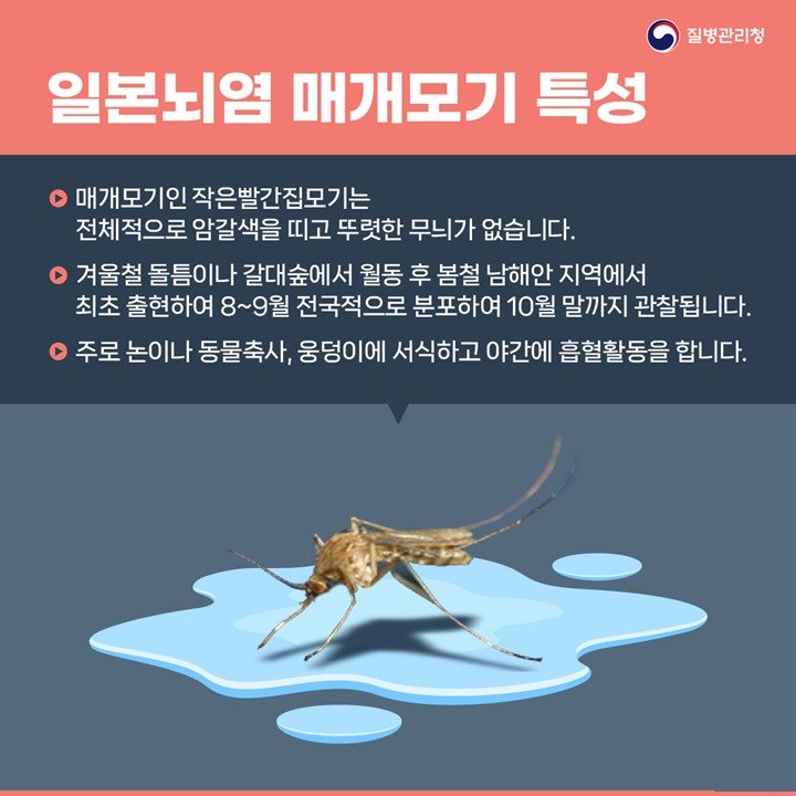 South Korea issues Japanese encephalitis alert after virus found in Daegu mosquitoes