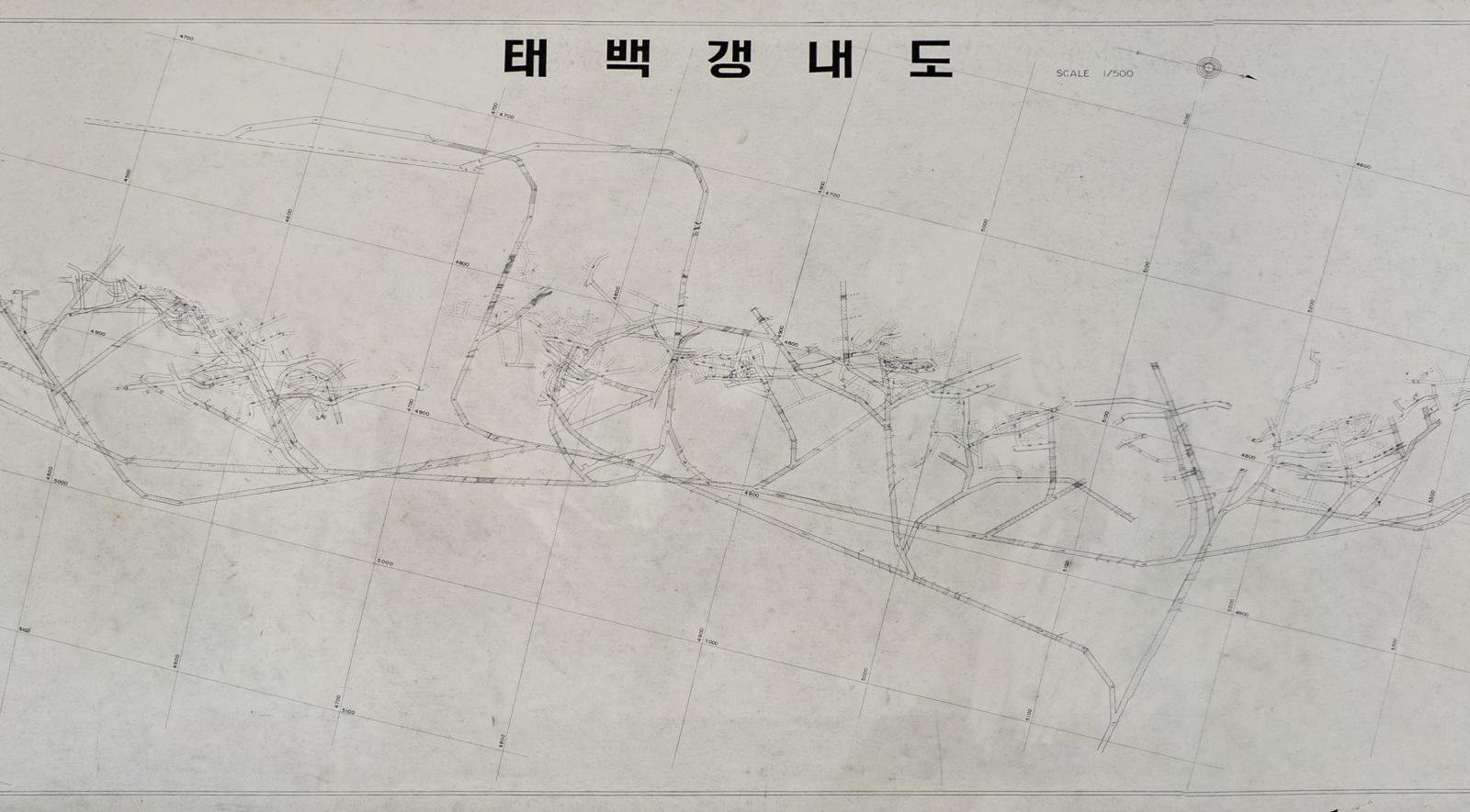 6m 갱도에 담긴 80년대 탄광 내부는? ‘태백갱내도’ 최초 공개