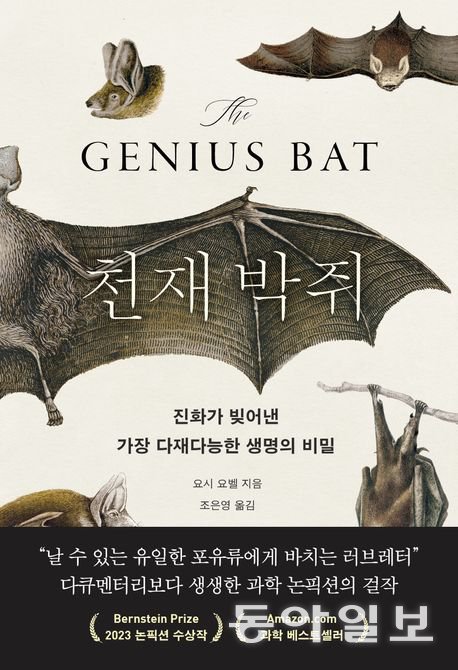 받은만큼 돌려준다…박쥐가 보여준 ‘상호주의’ 법칙