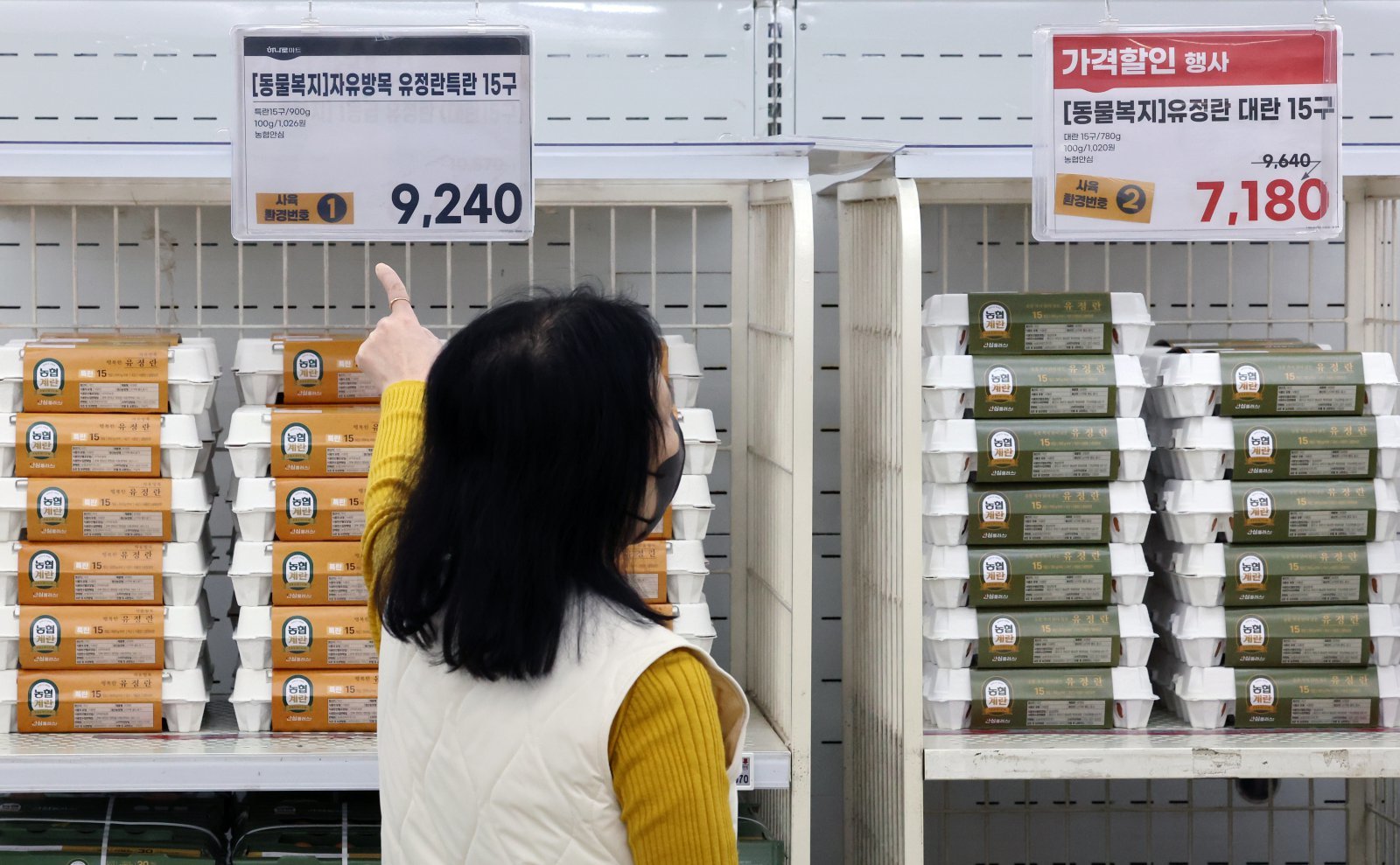 5월 생산자물가 0.8% 상승…9개월 연속 오름세