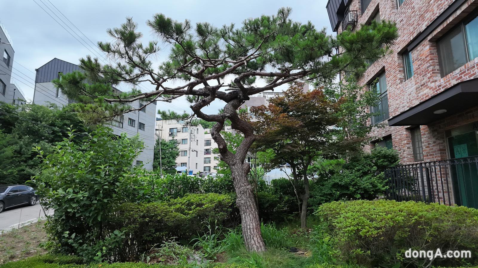 DJI 오스모 포켓4로 찍은 사진. 김상준 기자 ksj@donga.com