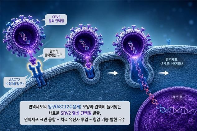 암 추적-공격 ‘킬러 세포’… 한국 연구진 정확도 ‘업’