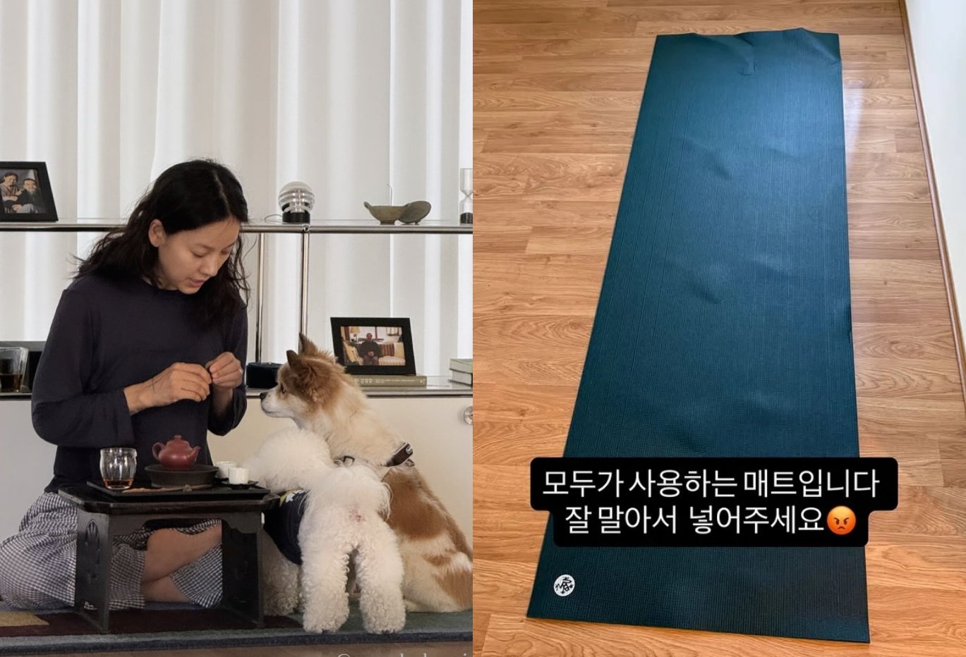 이효리 요가원, ‘비매너 회원’에 공지…무슨 일?