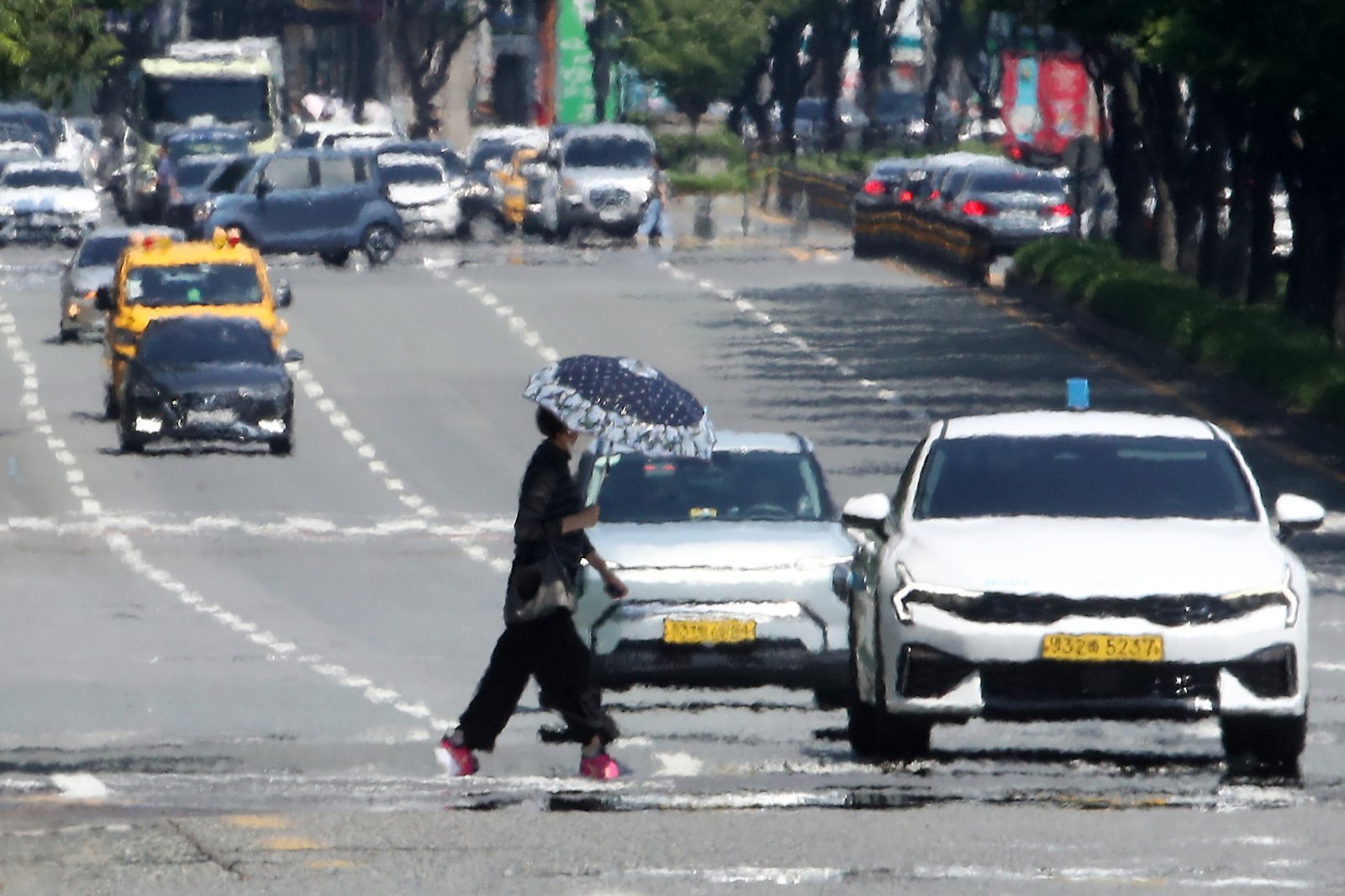 일본은 이미 시작…韓 장마, 제주 30일·내륙 7월초 가능성