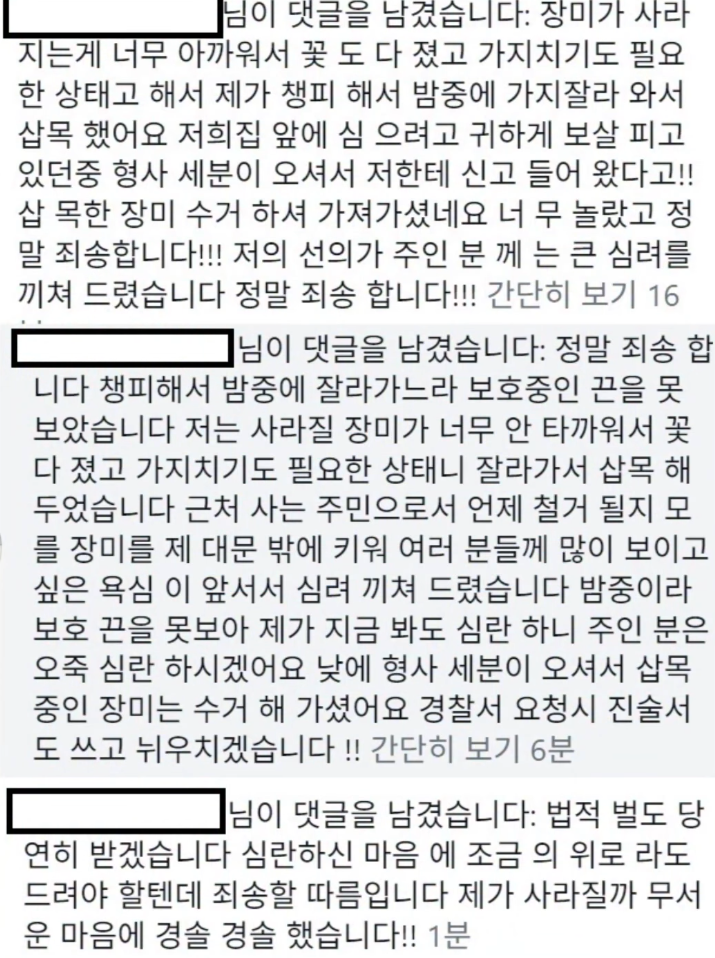 한 누리꾼이 자신이 장미를 가져간 사람이라고 밝히며 사과 댓글을 남겼다. 인스타그램 캡처