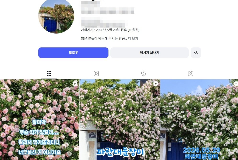 SNS ‘파란장미정원’