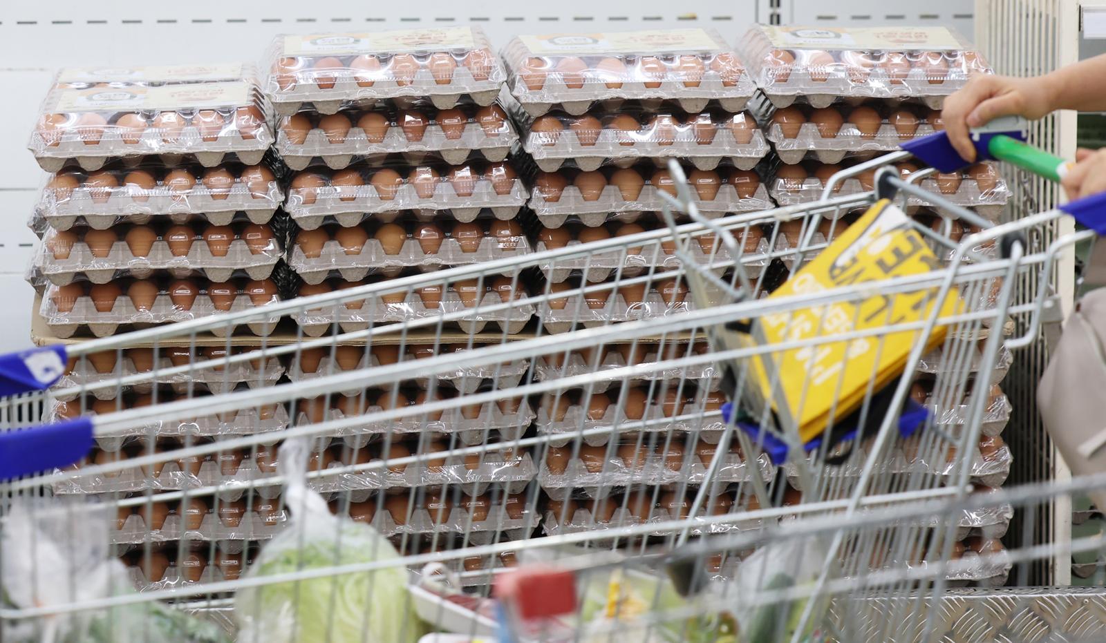 Government to Inject 1 Trillion Won to Control Prices with Agricultural Discounts and Utility Fee Freezes