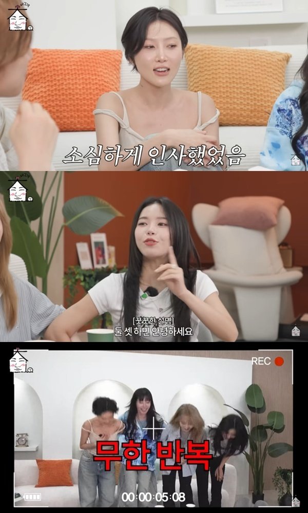 유튜브 채널 ‘집대성’ 캡처
