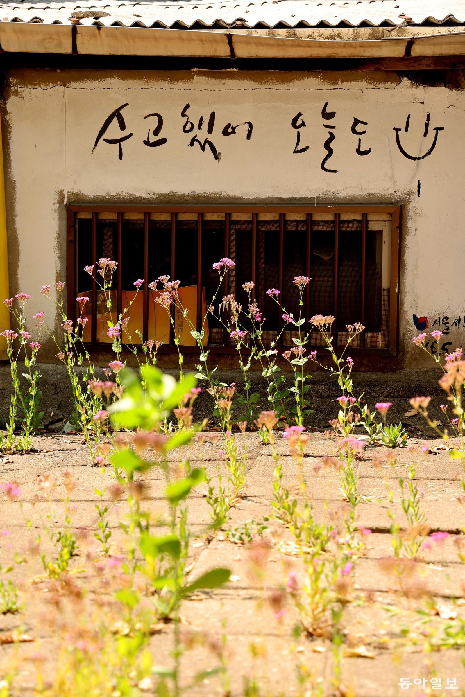 [고양이 눈]뜻밖의 응원