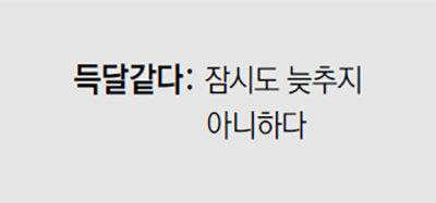[신문과 놀자!/미션 나의 문해력]득달같다