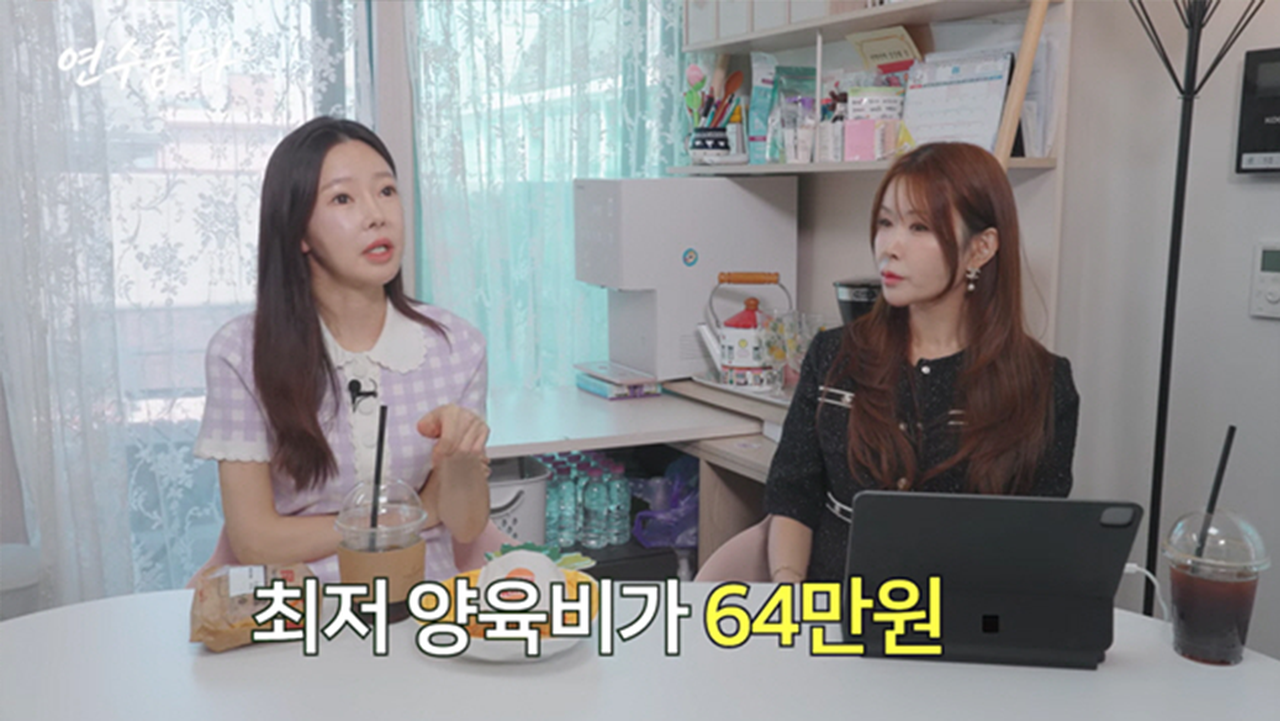 방송인 지연수가 유튜브를 통해 전 남편 일라이에게 받고 있는 양육비가 월 85만 원이라고 밝혔다. 유튜브 채널