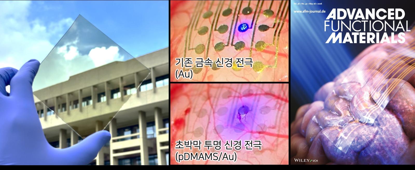 South Korean Researchers Develop Artificial Vision Tech, Reproducing 78% of Sight in Blind Mice