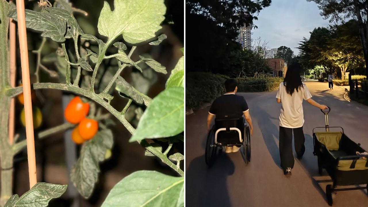 가수 송지은이 SNS를 통해 꿈꾸던 텃밭을 마련한 근황을 공개. SNS 화면