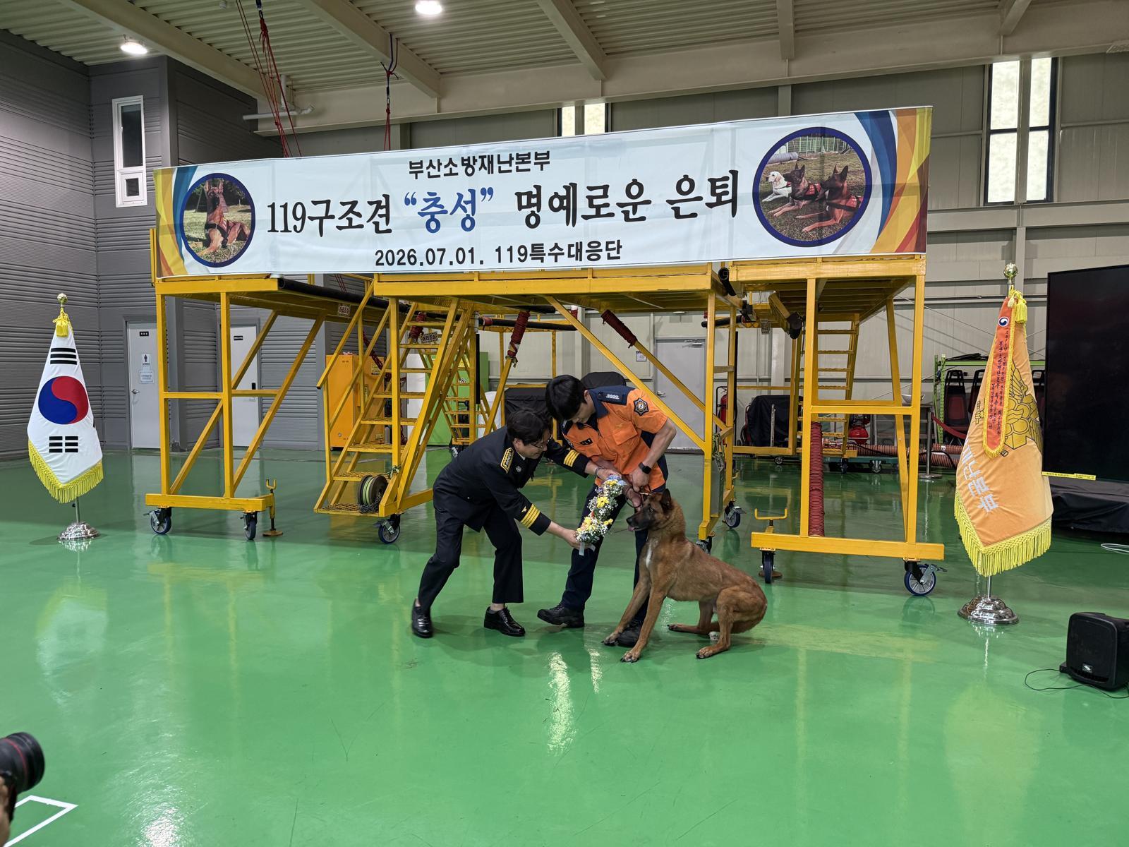 1일 부산 해운대구 119특수대응단에서 열린 인명구조견 충성 은퇴식에서 안성호 특수대응단장(왼쪽)이 충성에 꽃목걸이를 걸어주려고 하고 있다. 부산소방재난본부 제공
