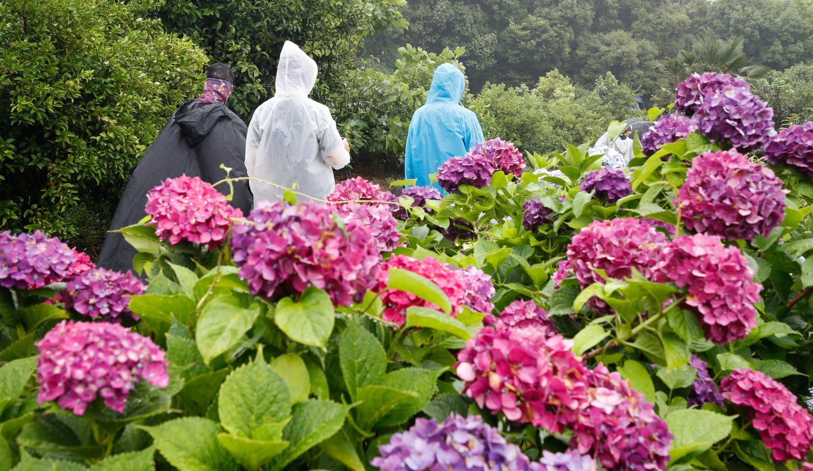 내일 전국 곳곳 강한 소나기…낮 최고 31도 ‘무더위’