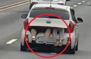 트렁크에 사람 태우고 다리로 번호판까지 가려…‘황당 질주’
