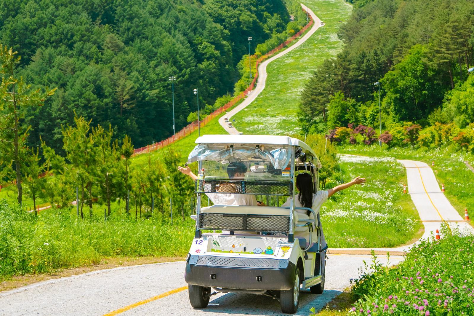 카트를 직접 운전하며 즐길 수 있는 야생화 카트투어.