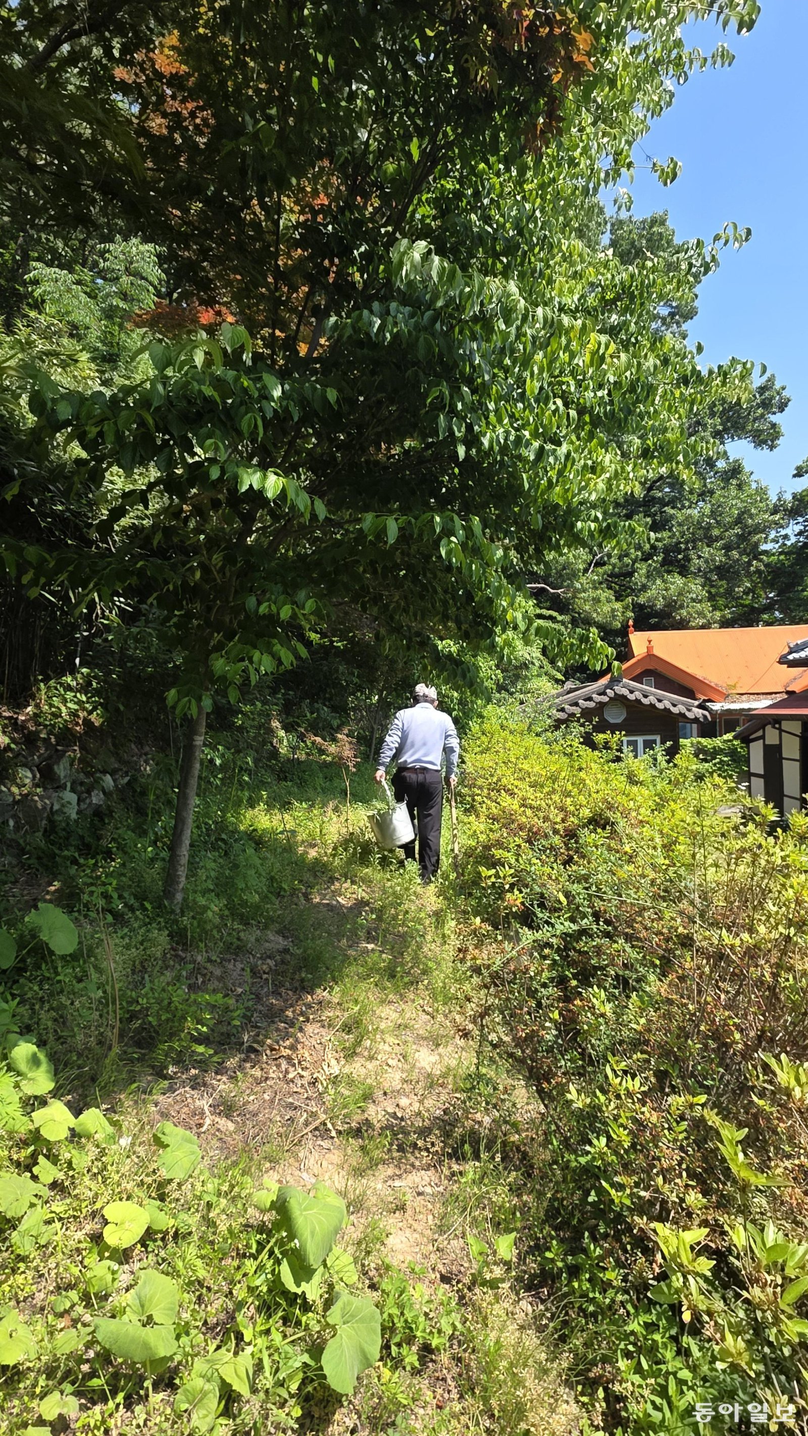 정원 일에 몰입하고 있는 나태주 시인. 공주=김선미 기자