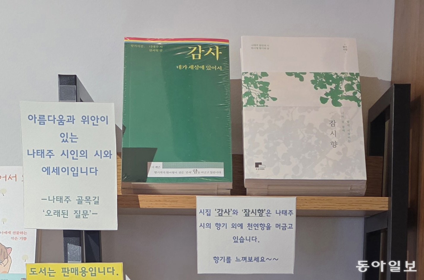 초록색 표지의 책이 나태주 시인의 향기 시집 ‘감사-네가 세상에 있어서’다. 공주=김선미 기자