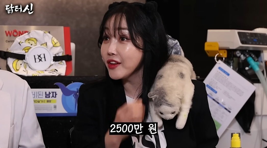 낸시랭, 작품 하나에 2500만원…“내 경력에 비해 합리적 가격”