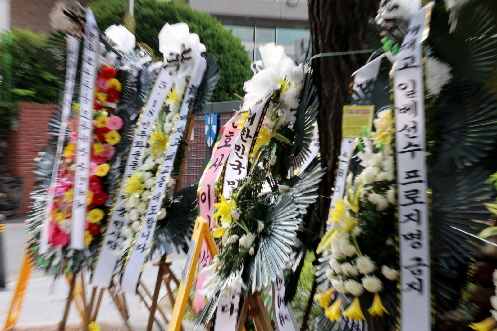 서울교육청 “배재고 야구부 학생들, 진심으로 반성…재심 전제 아냐”