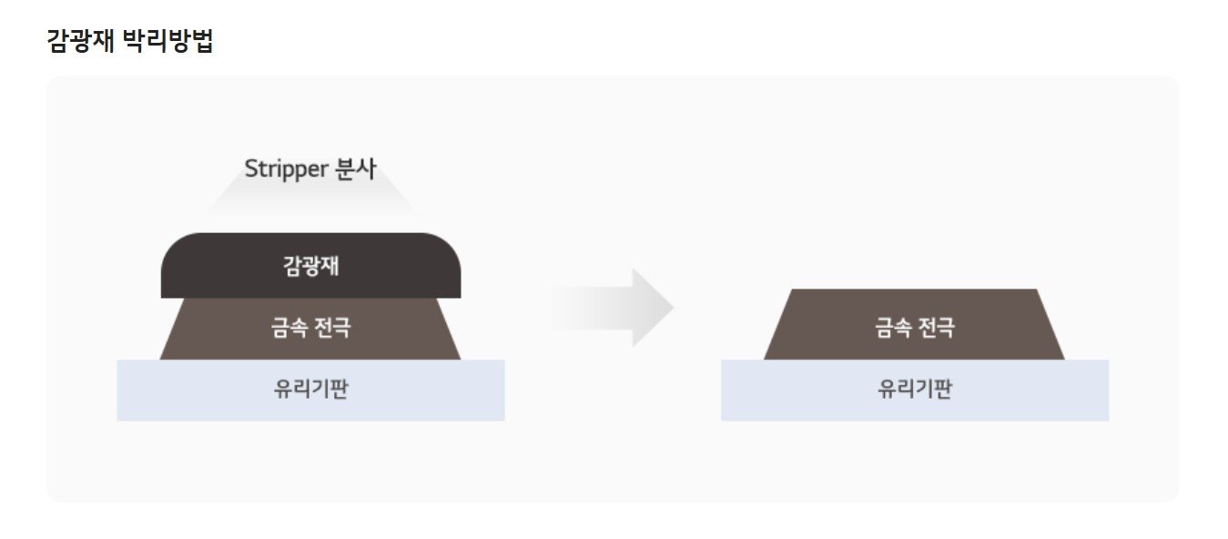 스트리퍼 공정 원리. LG화학 제공