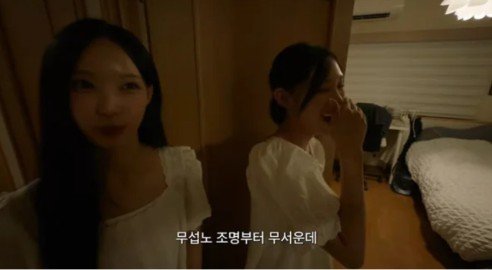 원이, ‘무섭노’ 일베 낙인…국립국어원 ‘질문’에도 등장