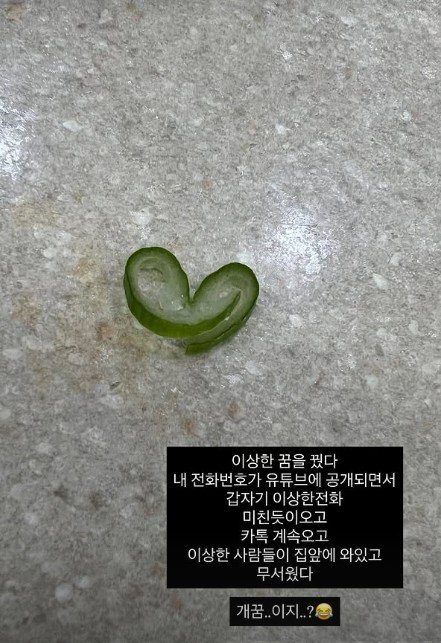 ‘1억 손실’ 미자 “이상한 꿈 꿨다”…누리꾼 “하이닉스 때문”