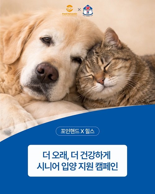 Campaign supports adoption of senior pets, offering customized food