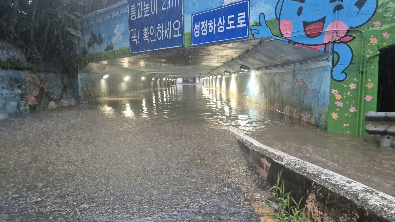 9일 오전, 밤사이 내린 집중호우로 충남 천안 성정하상도로가 침수돼 있다. (독자 제공) 2026.7.9  /뉴스1