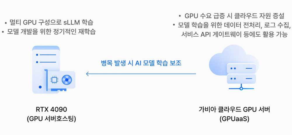 자체 AI 모델 개발 상황에서 효과적인 GPU 서버호스팅+GPU 클라우드 서버 구성 / 출처=가비아