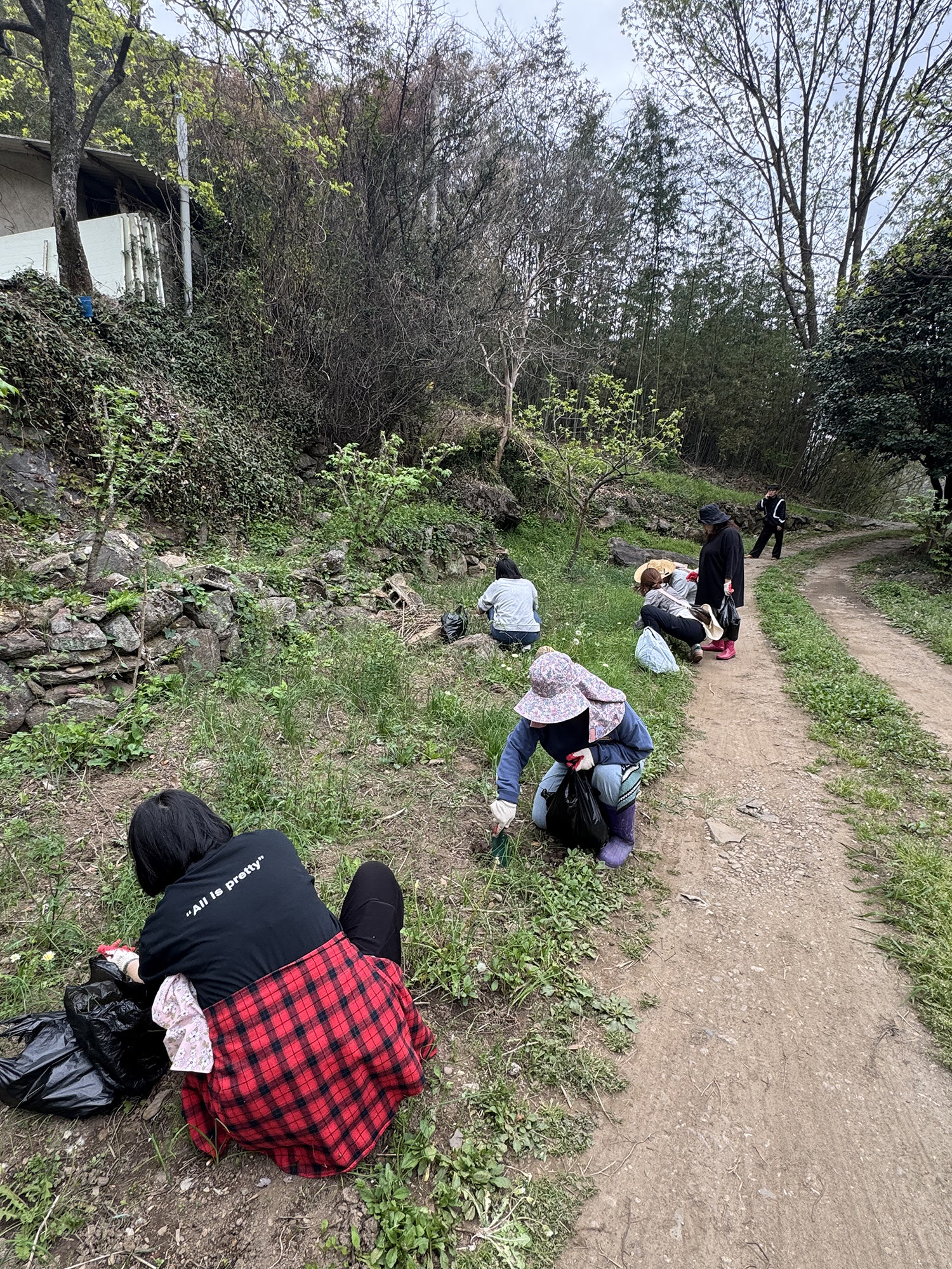 Wild Vegetable Academy Sprouts Hope in Rural Korea