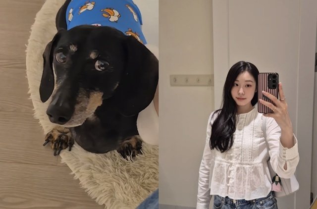 김연아, 발로 강아지 ‘쓰담쓰담’…“발 씻었어” 폭소