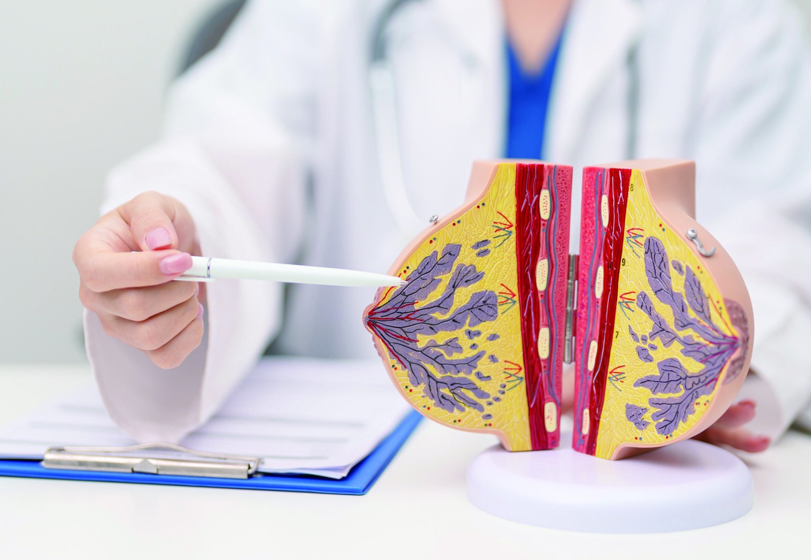 유방암 생존율 95%… ‘치료 후 삶’도 챙겨야