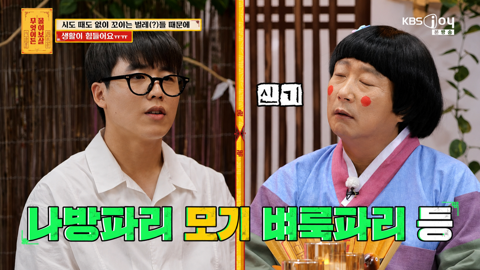10년째 머리 주변으로만 벌레가 몰린다는 29세 취업준비생의 사연이 공개됐다.  KBS Joy ‘무엇이든 물어보살’ 화면